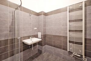 foto Apartments , Prague 2 - after
