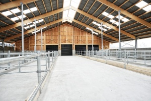 foto Stable, Kostelní Střimelice - after