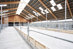 foto Stable, Kostelní Střimelice - after