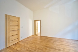 foto Apartments , Prague 2 - after