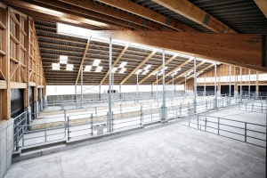 foto Stable, Kostelní Střimelice - after