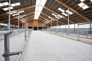 foto Stable, Kostelní Střimelice - after