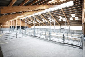 foto Stable, Kostelní Střimelice - after