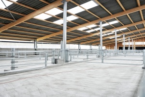 foto Stable, Kostelní Střimelice - after