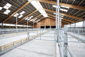 foto Stable, Kostelní Střimelice - after